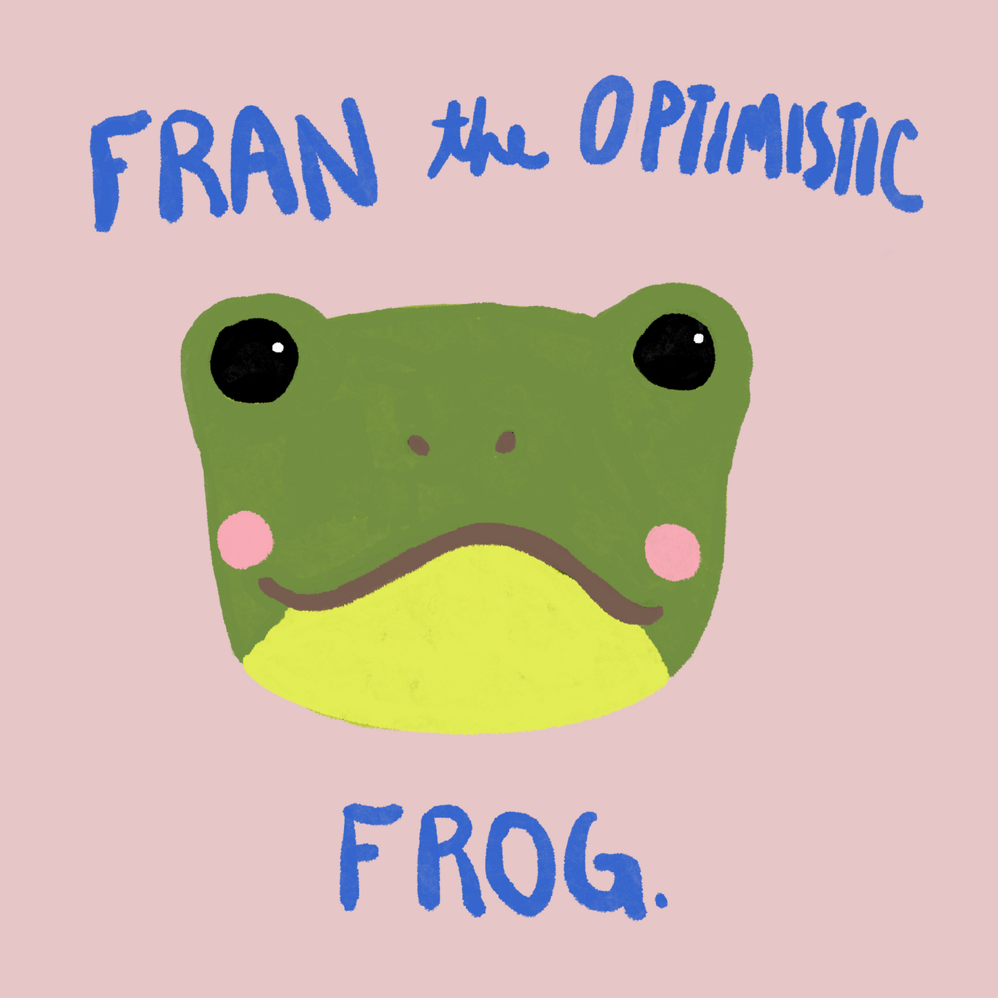Heron Hill Stitch Co - Fran the Optimistic Frog Craft Kit